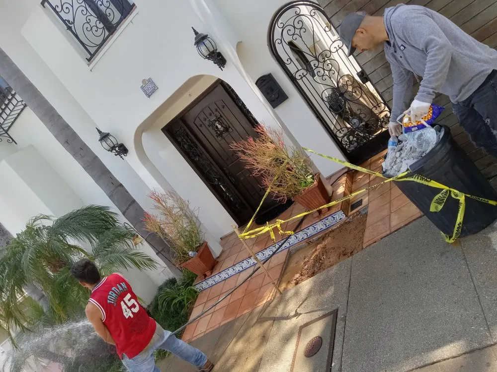 Slide of All Pro Rooter