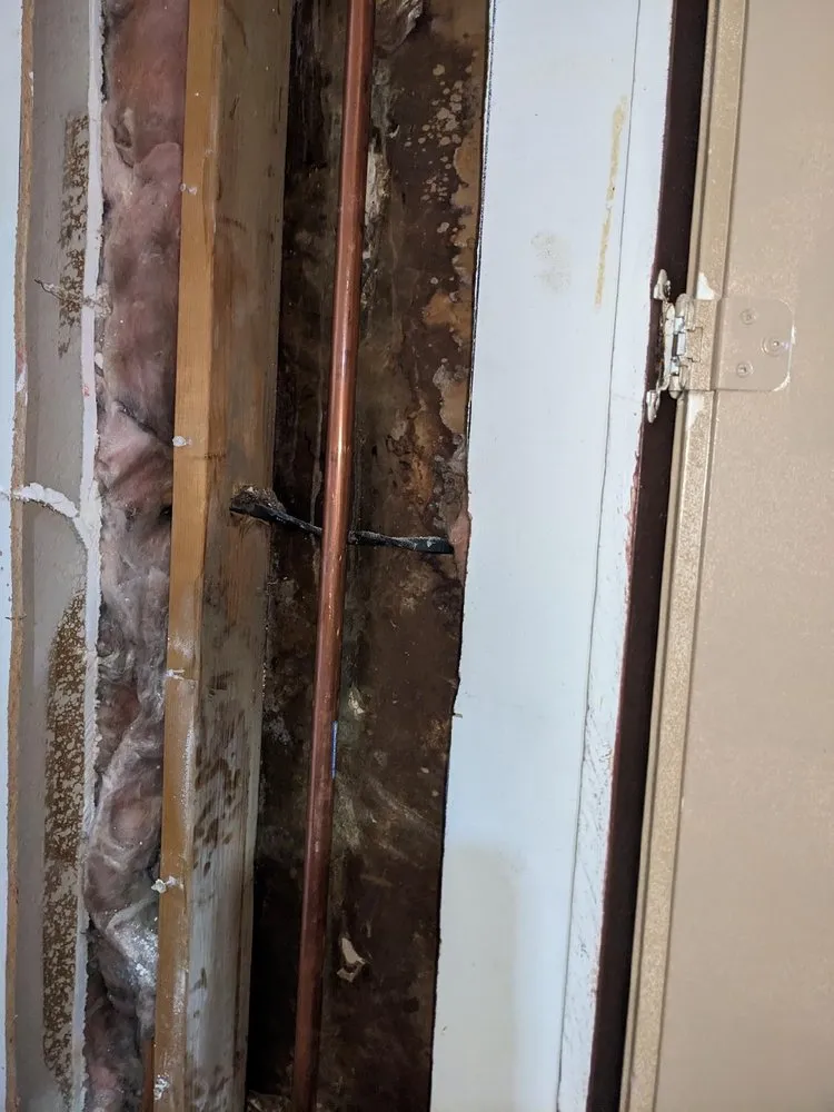 Slide of All Purpose Plumbing