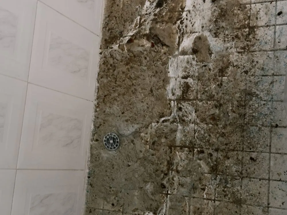 Slide of All Round Repair & More