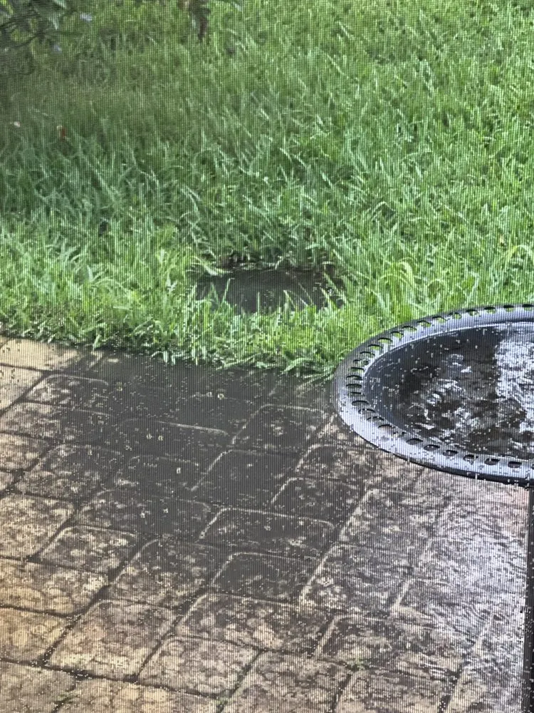 Slide of All Round Repair & More