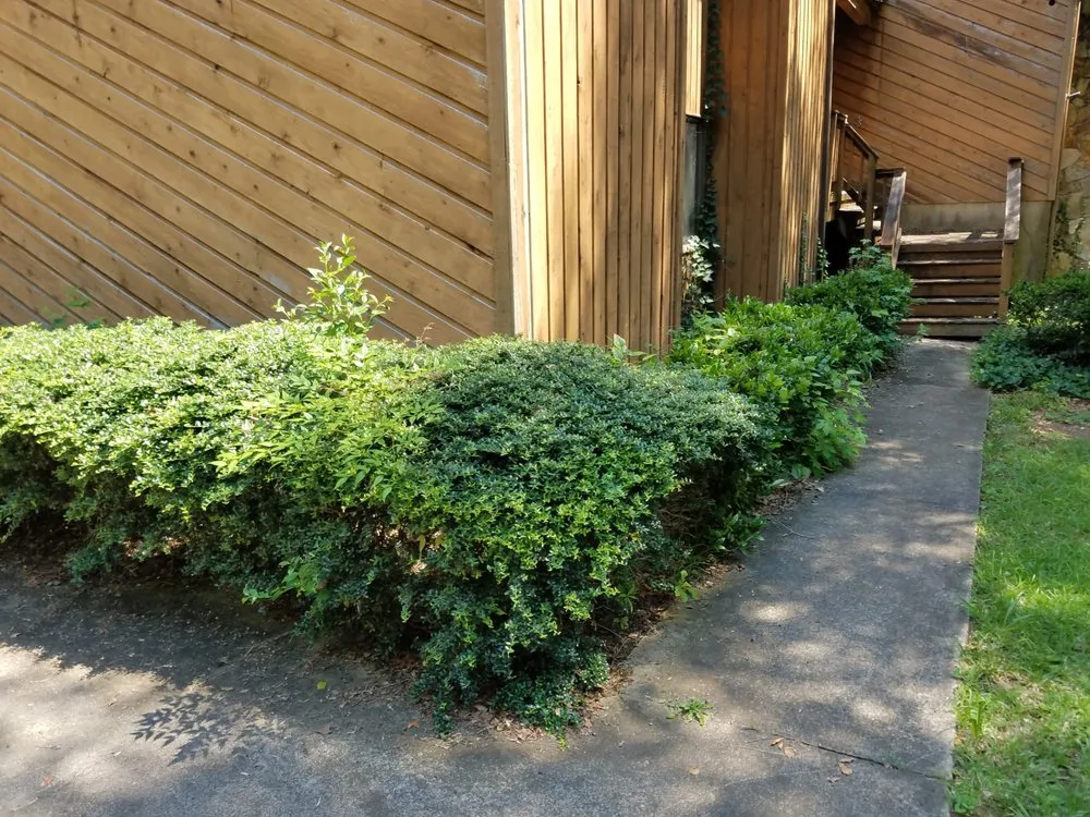 Professional leak detection service in Travelers Rest, SC - All Seasons Property Solutions