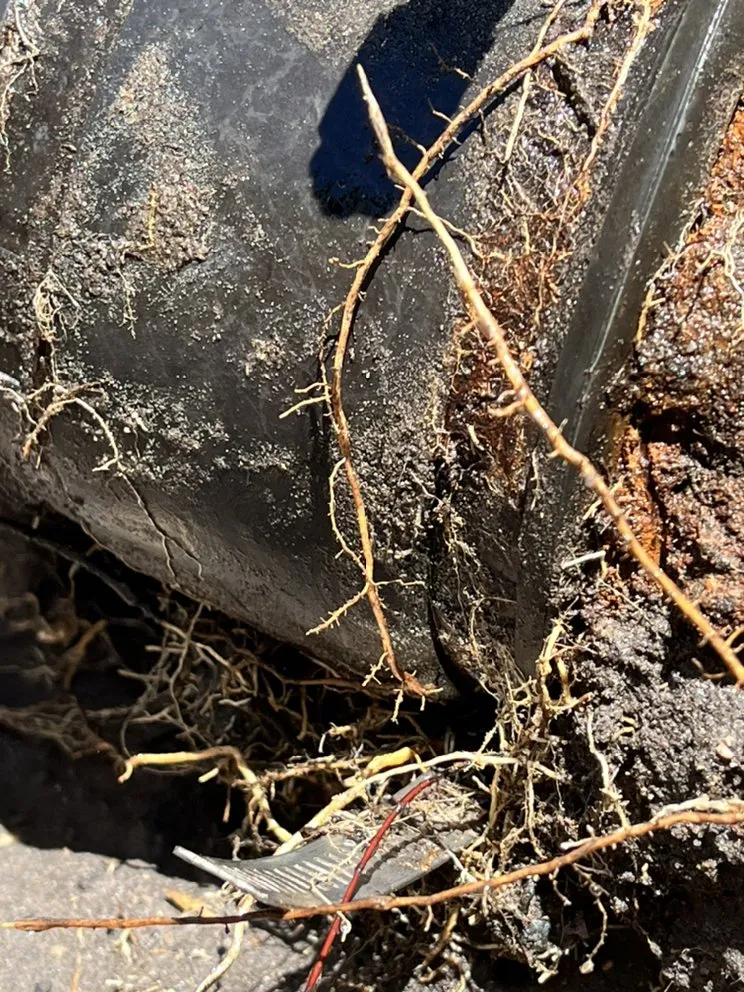 Slide of All Service Plumbing