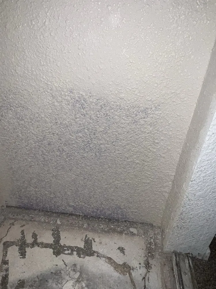 Slide of All services