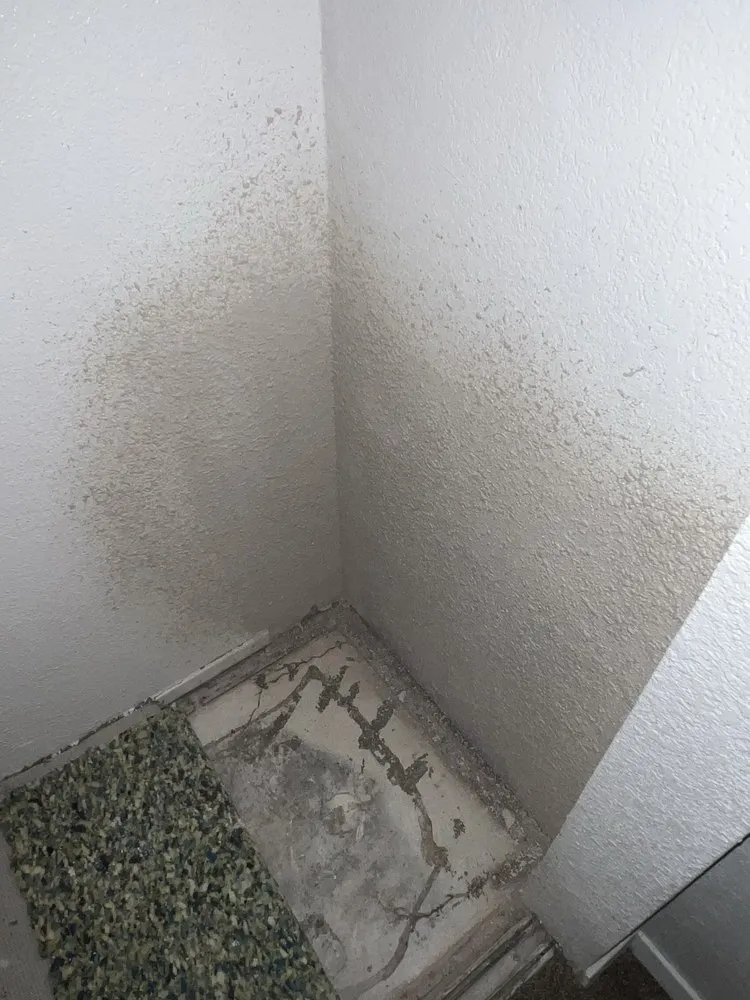 Slide of All services