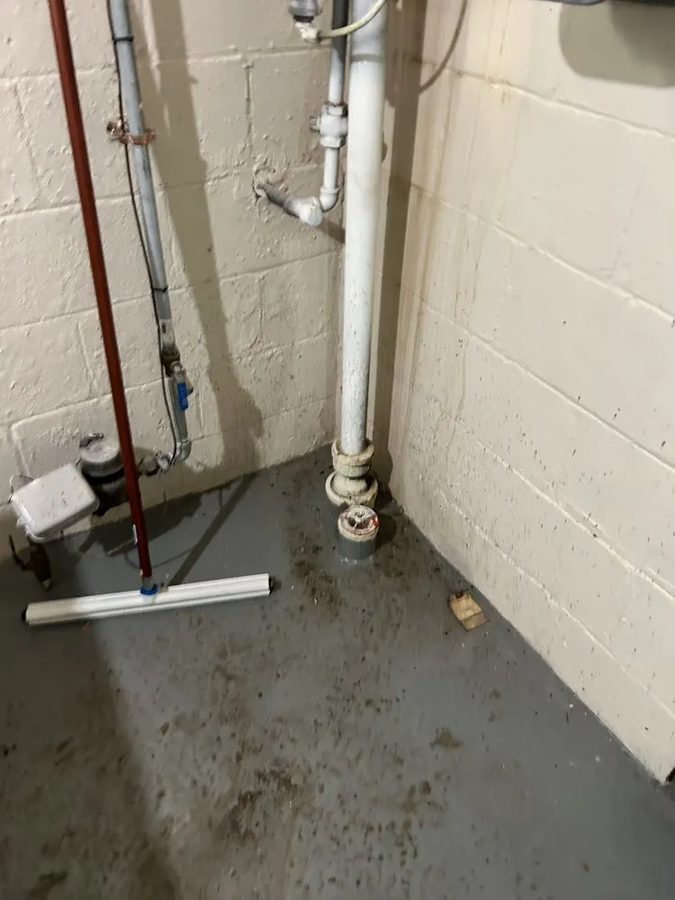 Reliable drain cleaning service in Rockwood, MI - All Star Building Maintenance