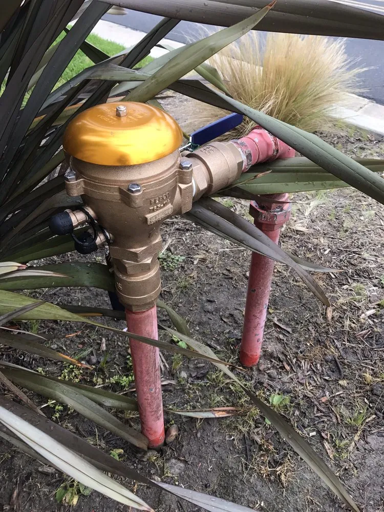 Slide of All Star Plumbing & Fire Sprinkler