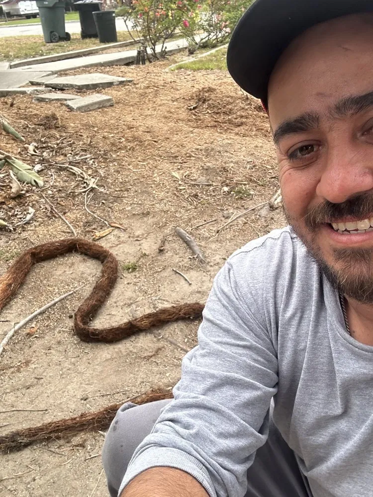 Top-rated emergency plumbing for homes in Santa Clarita, CA by All Star Plumbing & Rooter