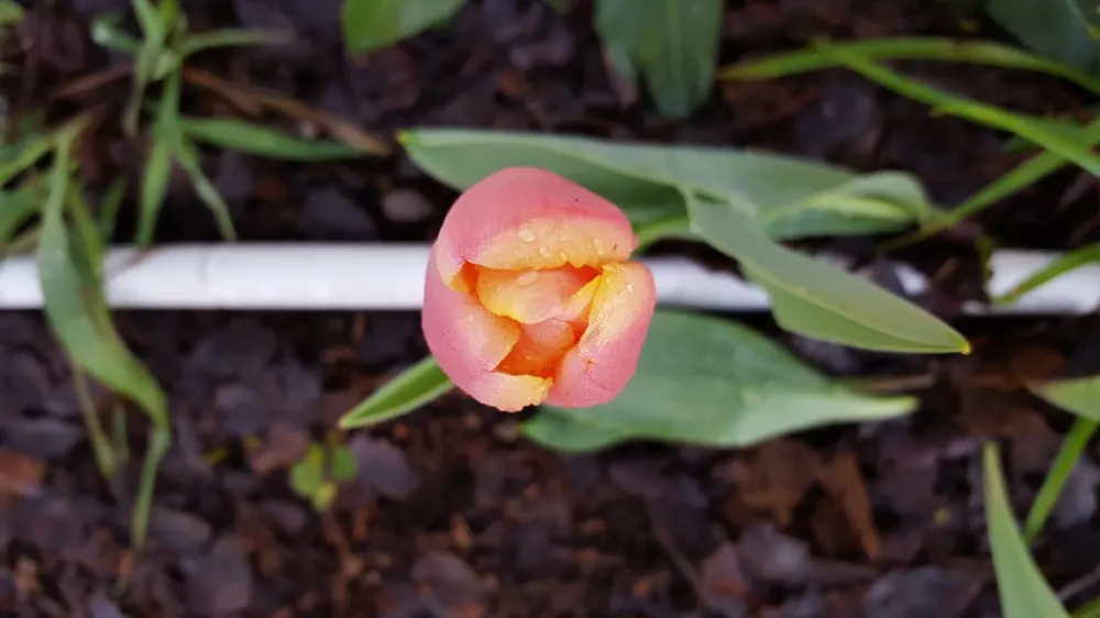 Slide of All-Star Plumbing