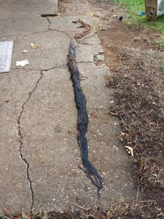 Slide of All Star Plumbing