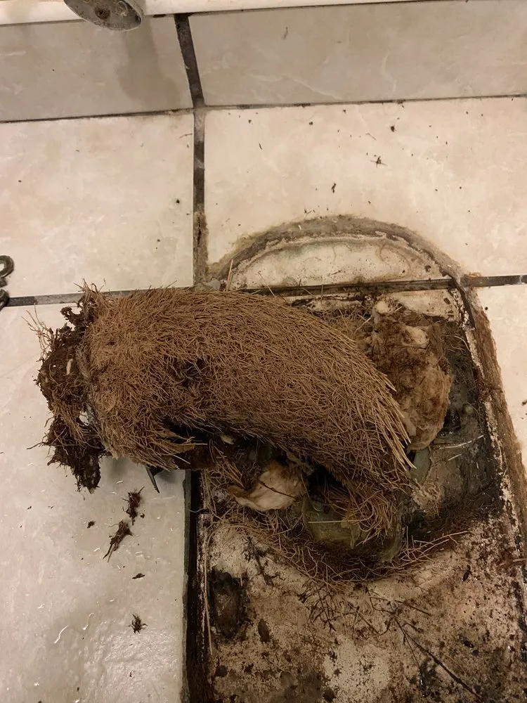 Slide of All Star Plumbing