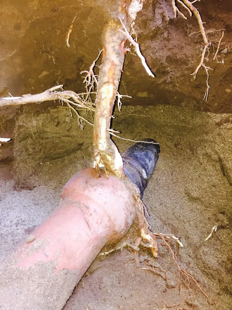 Slide of All Star Plumbing