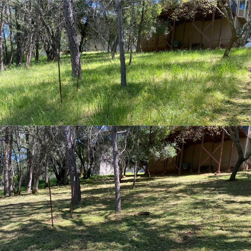 Expert drain cleaning service in Auburn, CA - ALL THINGS-Handyman Services