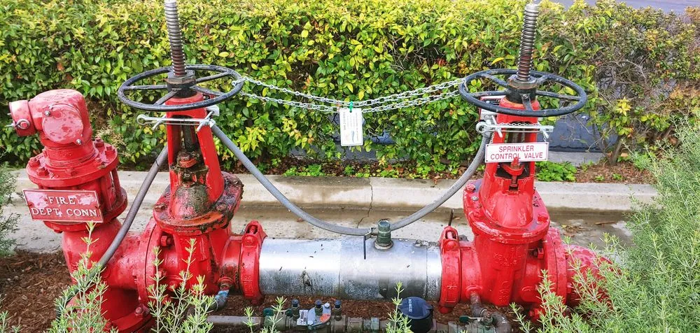 Slide of All Tides Backflow