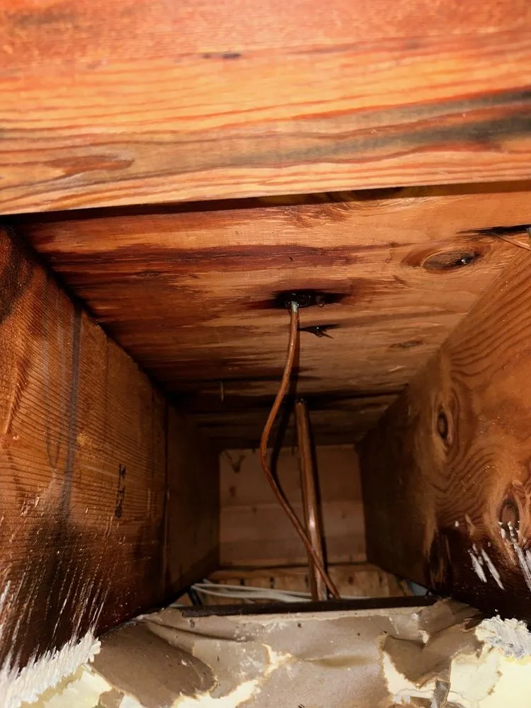 Slide of All Time Plumbing & Rooter