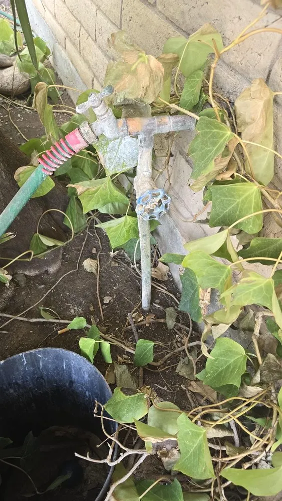 Slide of All Time Plumbing and Drains