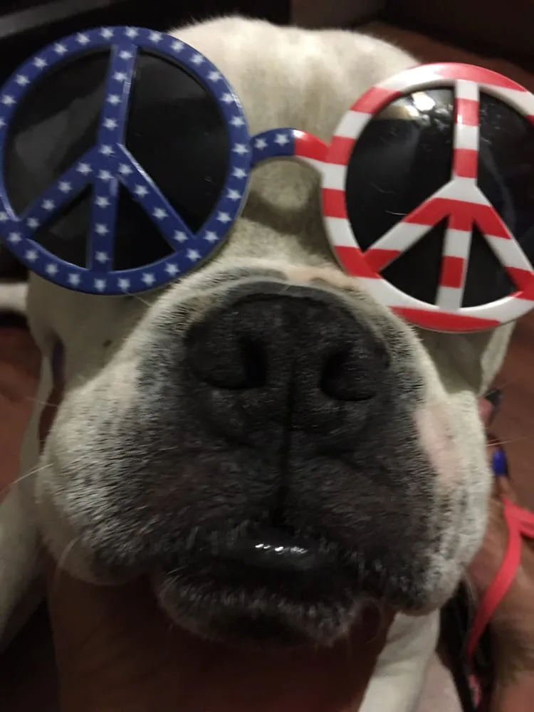 Slide of All Towns Sewer & Drain Service