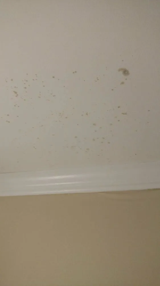 Slide of All Trade Services