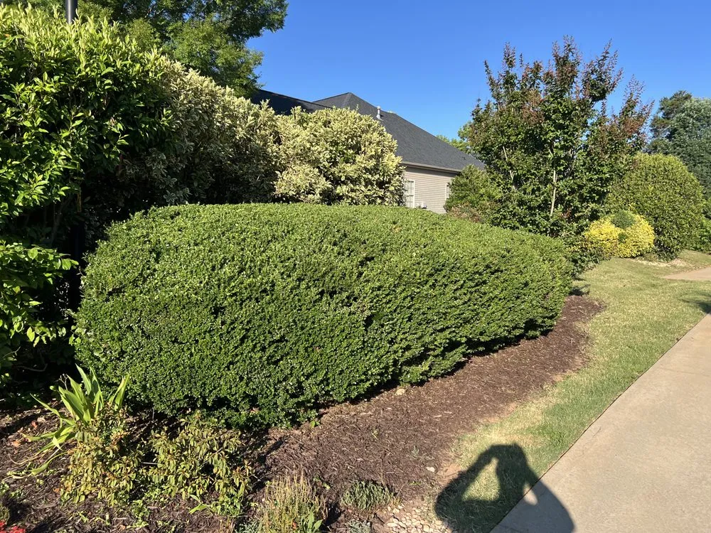 Slide of All Upstate Lawn and Outdoor Services