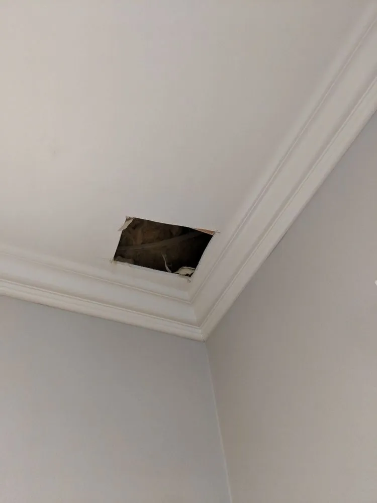 Slide of All Valley Rooter & Plumbing