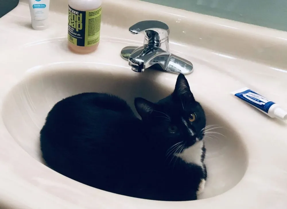 Slide of All-Ways Plumbing