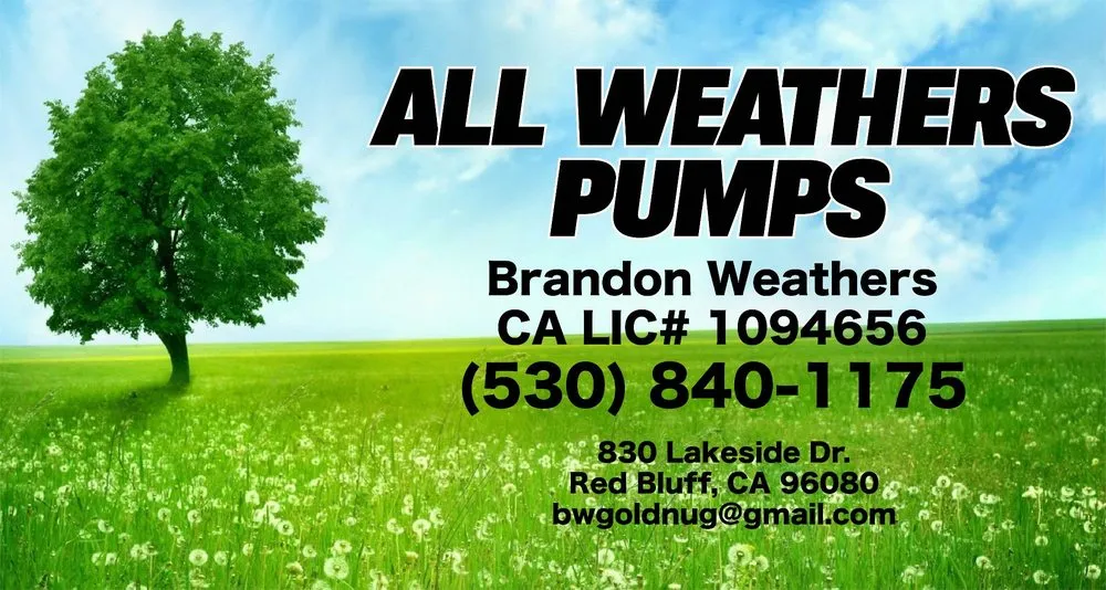 Slide of All Weathers Pumps