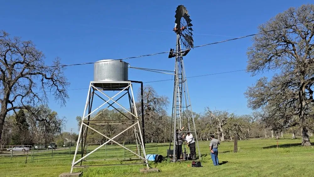 Slide of All Weathers Pumps