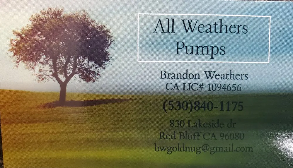 Slide of All Weathers Pumps