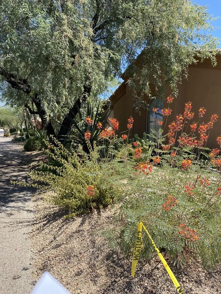 Top-rated pipe repair in Scottsdale, AZ by Allegiance Water Services