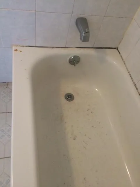 Slide of Allen Customize Cleaning