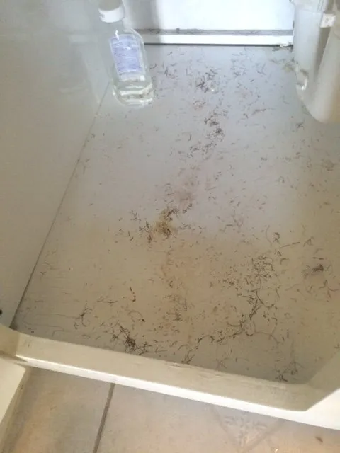 Slide of Allen Customize Cleaning