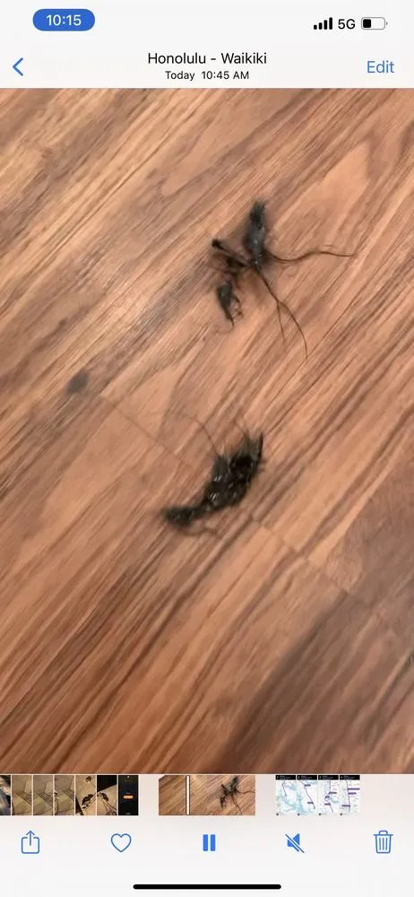 Slide of Allens Plumbing