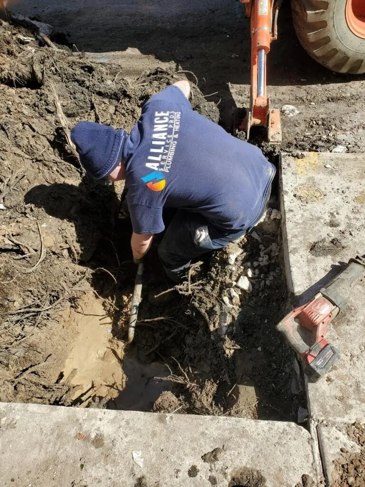 Slide of Alliance Service Professionals