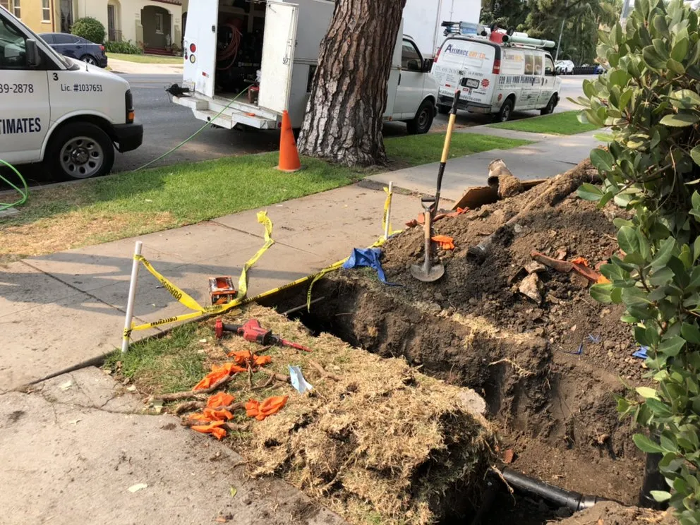 Slide of Alliance United