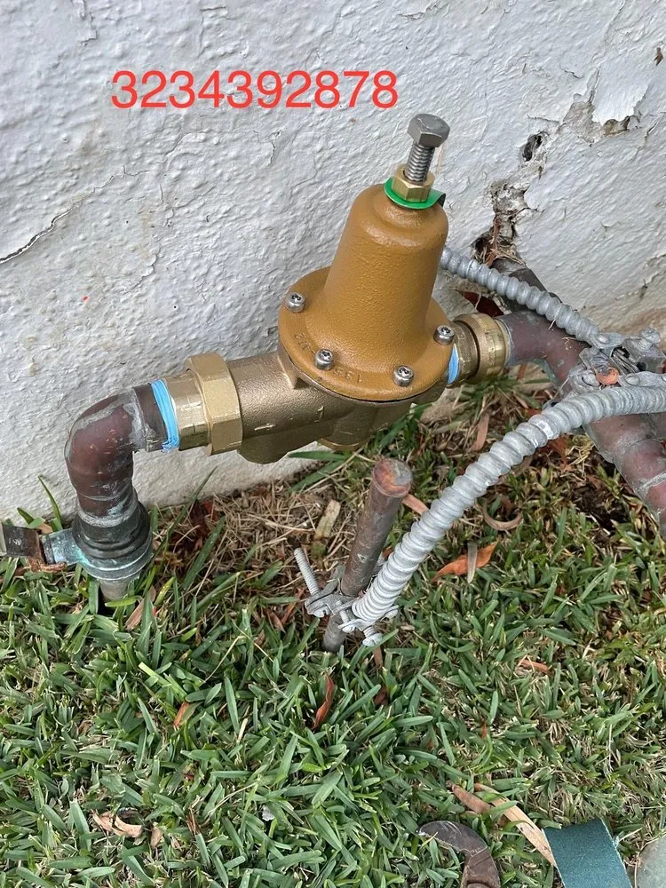 Slide of Alliance United