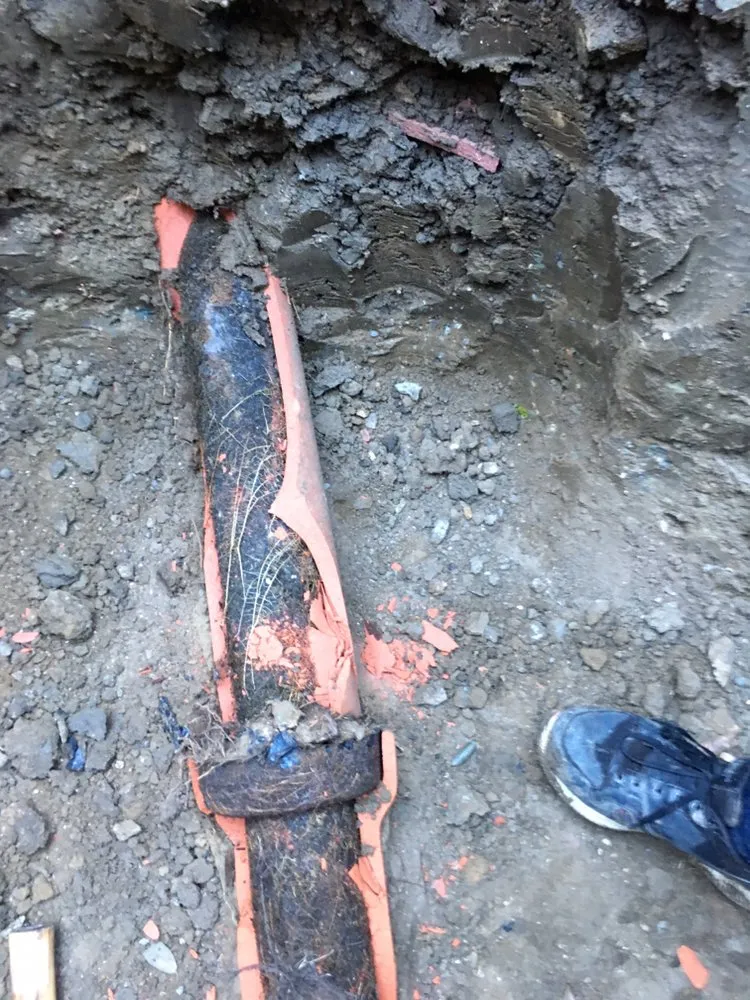 Quality drain cleaning experts serving Los Angeles, CA - Alliance United