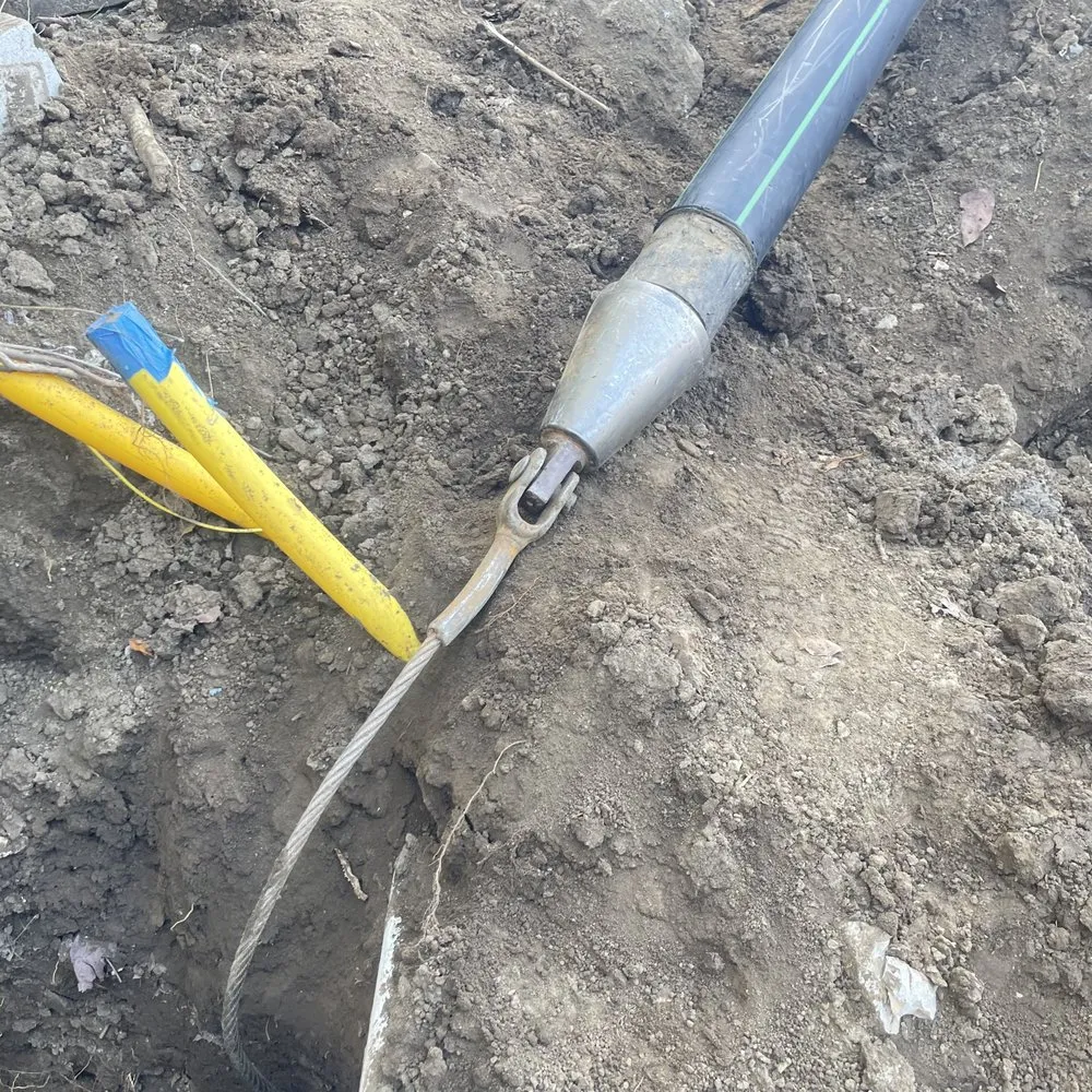 Slide of Alliance United