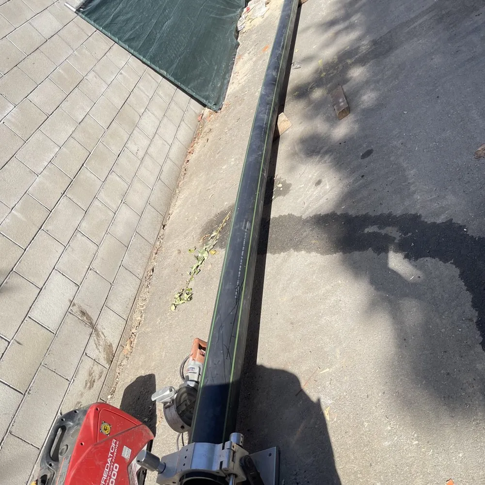 Slide of Alliance United