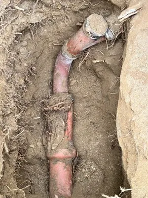 Alliance United Logo