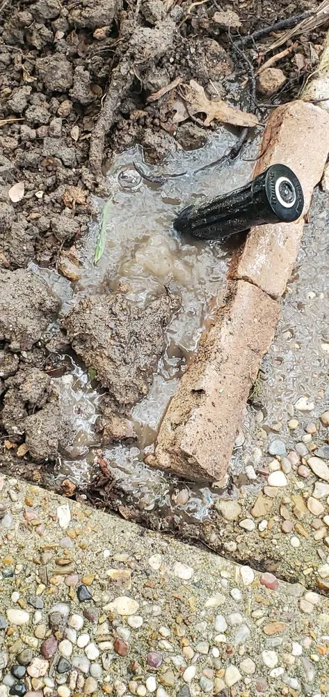 Slide of Allied Foundation