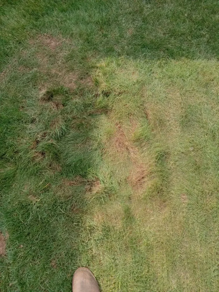 Slide of Allied Septic And Drain