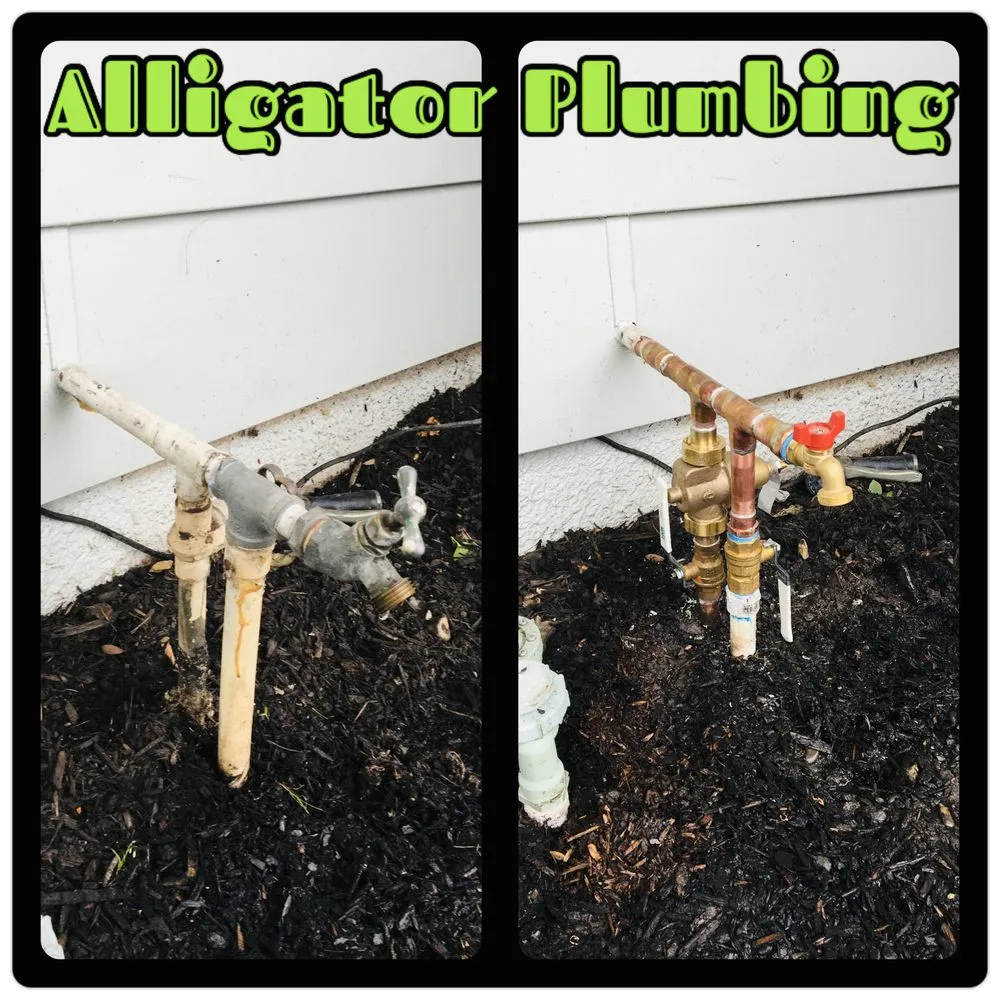 Slide of Alligator Plumbing