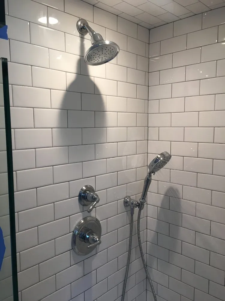 Slide of Alligator Plumbing