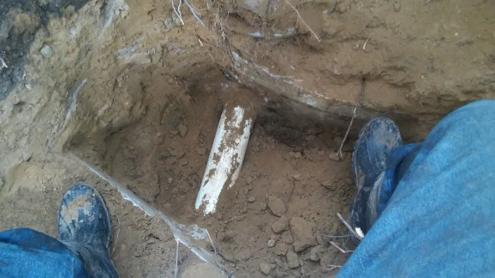 Slide of Alligator Sewer & Plumbing