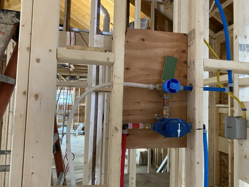 Slide of Alligators Rooter