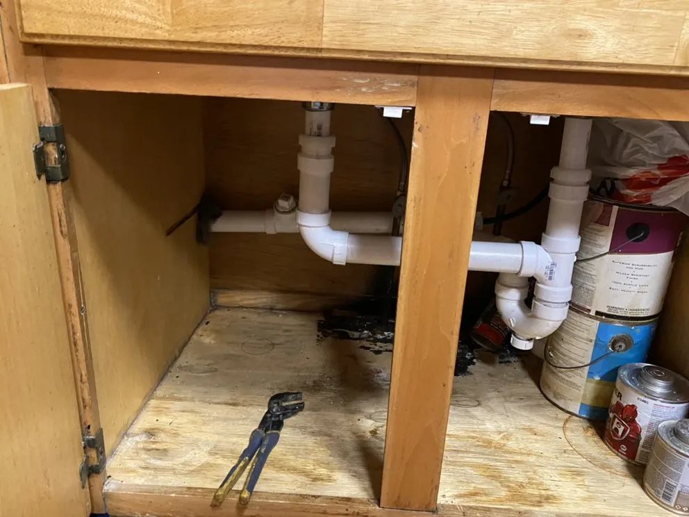 Slide of Alligators Rooter