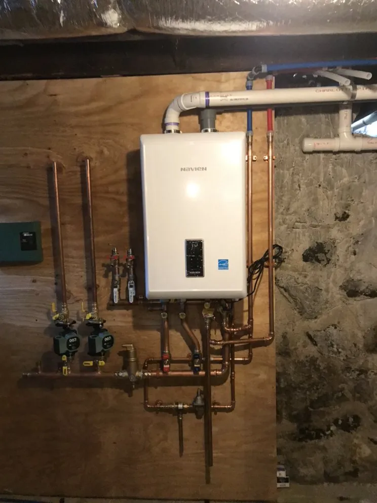 Slide of Alligators Rooter