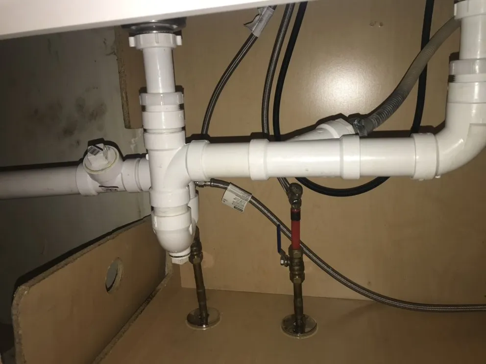 Slide of Alligators Rooter