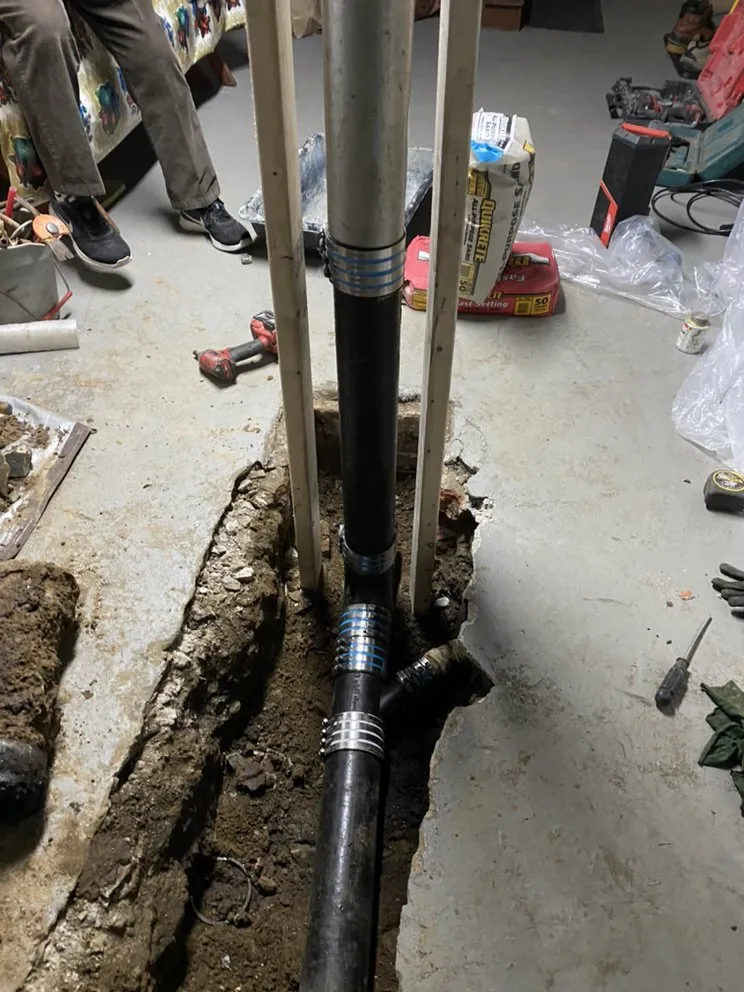 Slide of Alligators Rooter