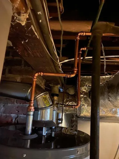 Slide of Alligators Rooter