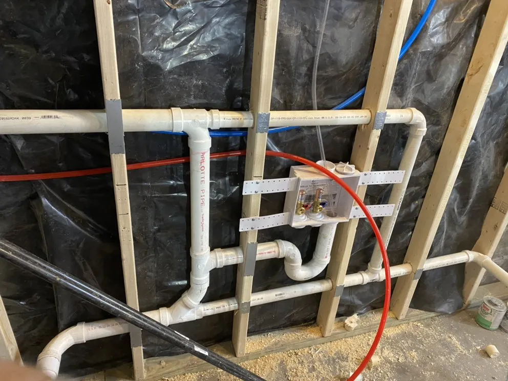 Slide of Alligators Rooter